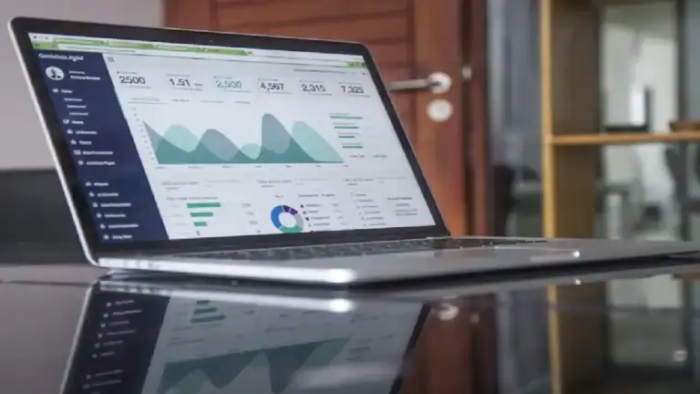 Digital marketing project by Skyfly Technology